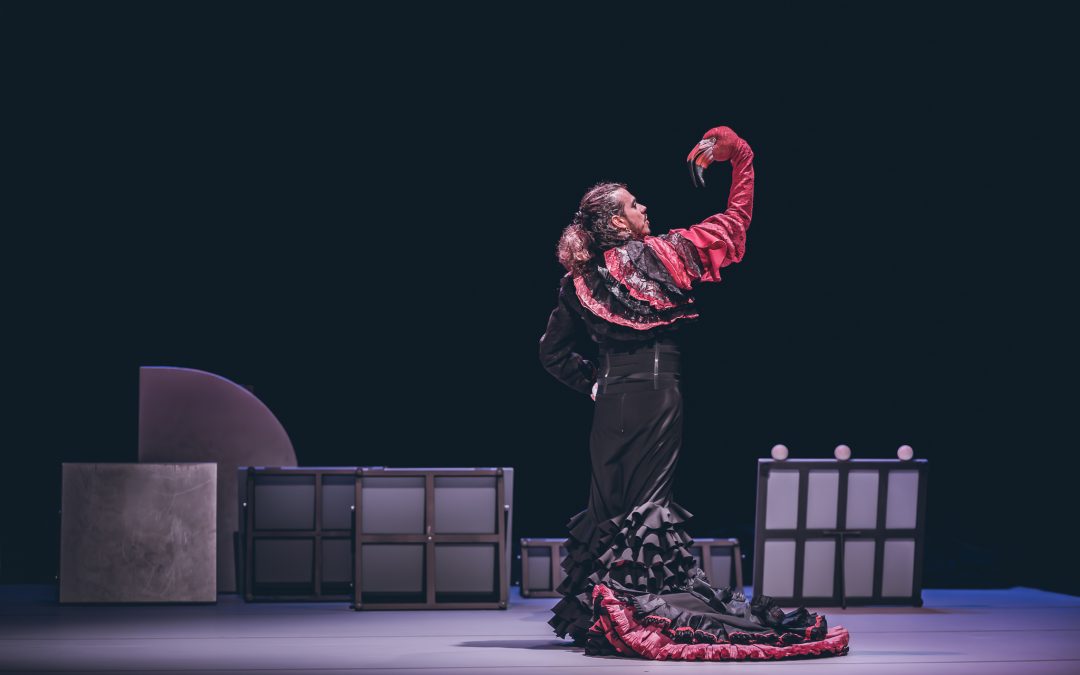 Flamenco: ‘Empaque’
