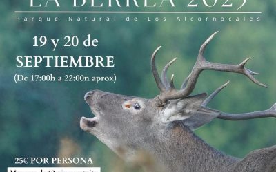 Berrea en el Campo de Gibraltar