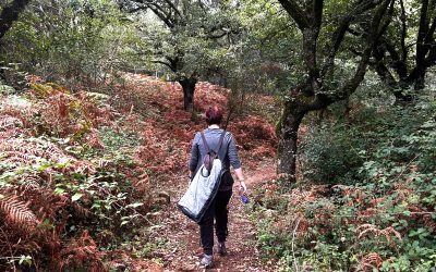 Nueva ruta senderista por el mágico y tenebroso Bosque de Niebla